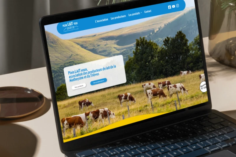 Image hover effect image