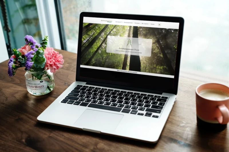 Image hover effect image